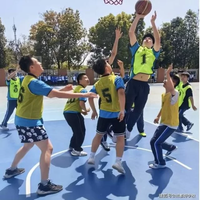 数据视角揭示体育新闻热点背后的趋势与思考